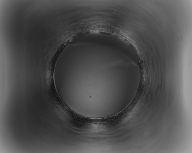 X0000088480641200705291628