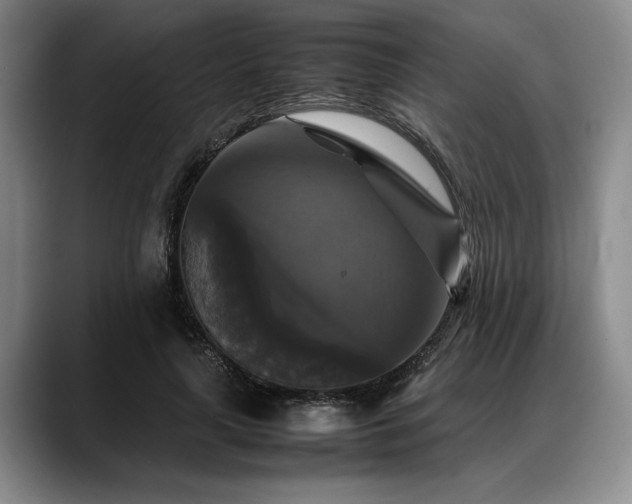 X0000088480643200705291628