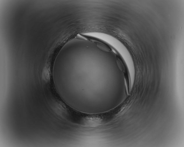 X0000088480644200705291628