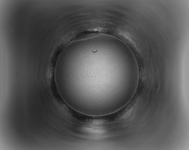 X0000088480645200705291628