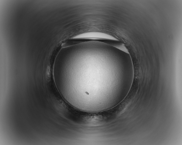 X0000088480646200705291628