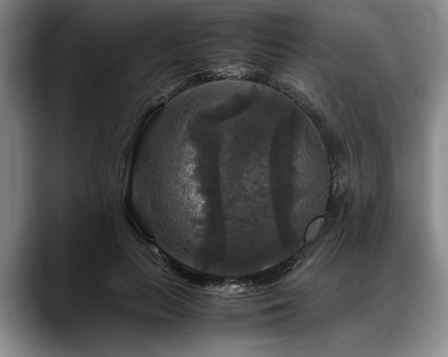 X0000088480647200705291628
