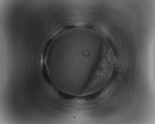 X0000088480648200705291628