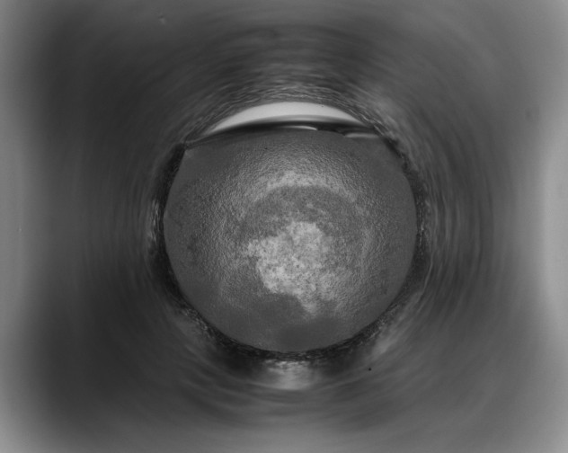 X0000088480649200705291628
