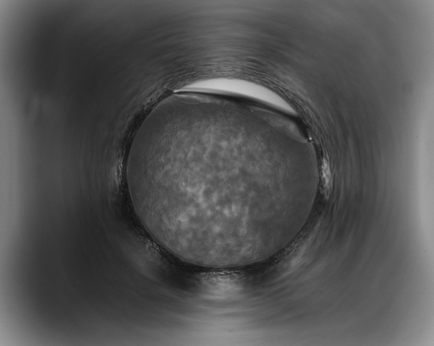 X0000088480652200705291628