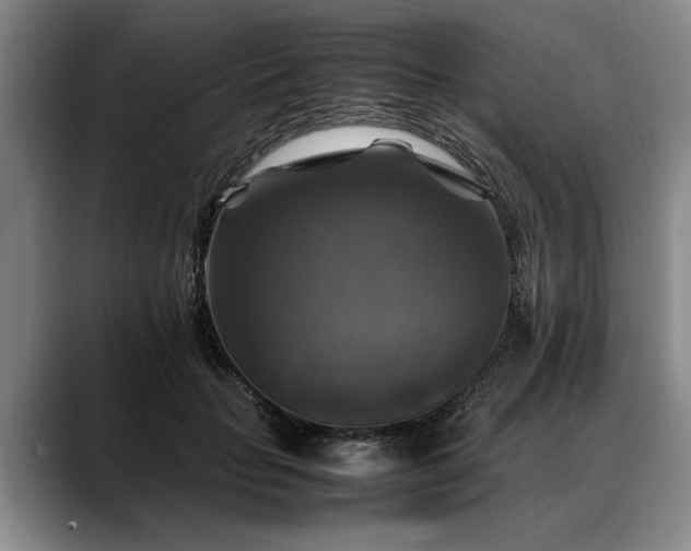 X0000088480653200705291628