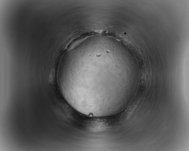 X0000088480656200705291628