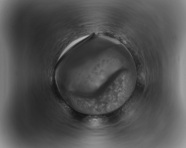 X0000088480658200705291628