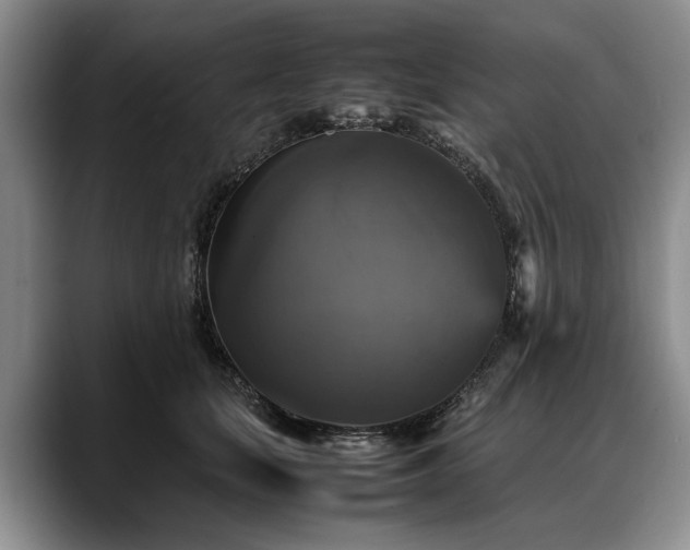 X0000088480659200705291628
