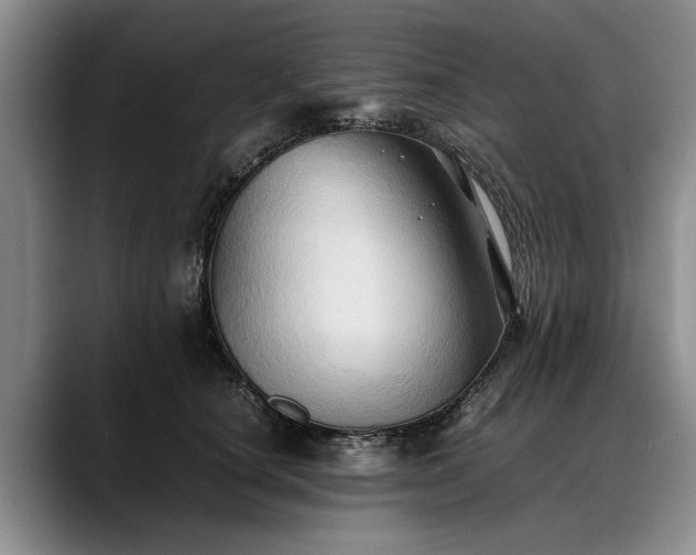 X0000088480660200705291628