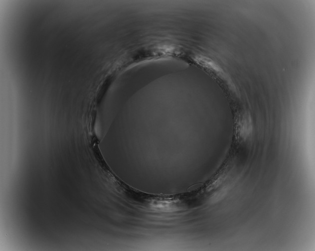 X0000088480661200705291628