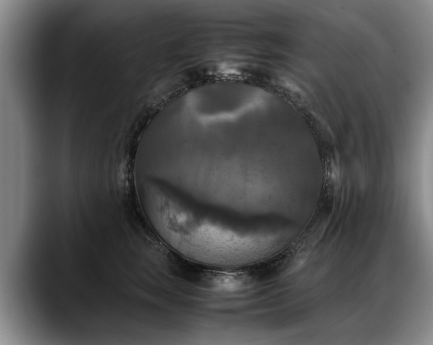 X0000088480663200705291628