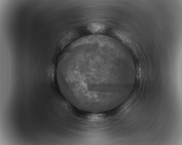 X0000088480664200705291628
