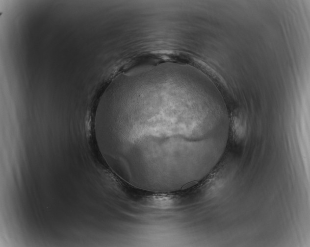 X0000088480668200705291628