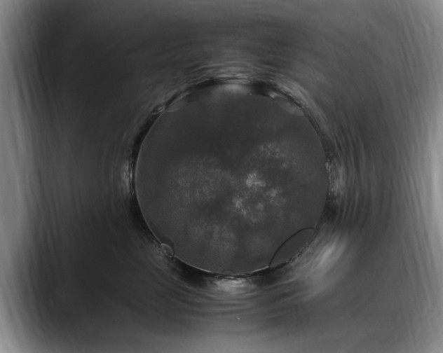 X0000088480669200705291628