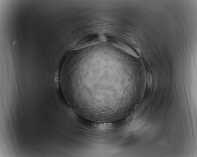 X0000088480670200705291628