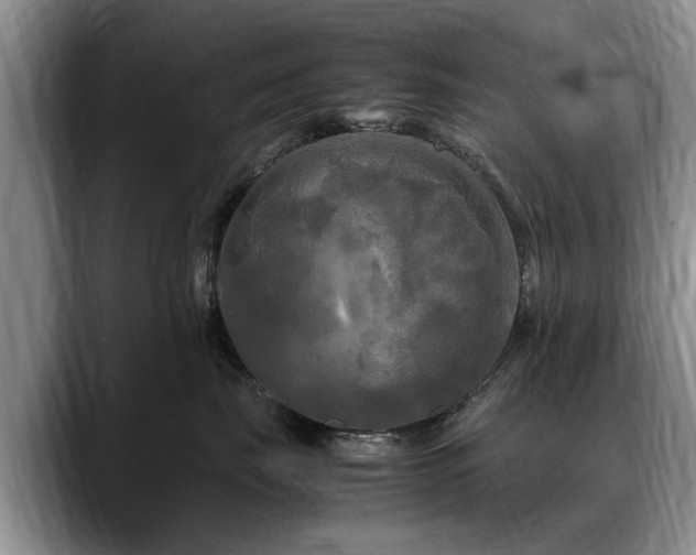 X0000088480671200705291628