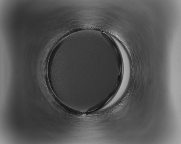 X0000088480673200705291628