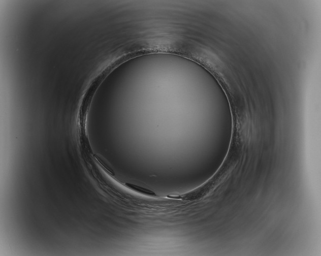 X0000088480674200705291628