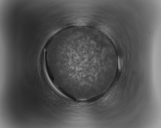 X0000088480675200705291628