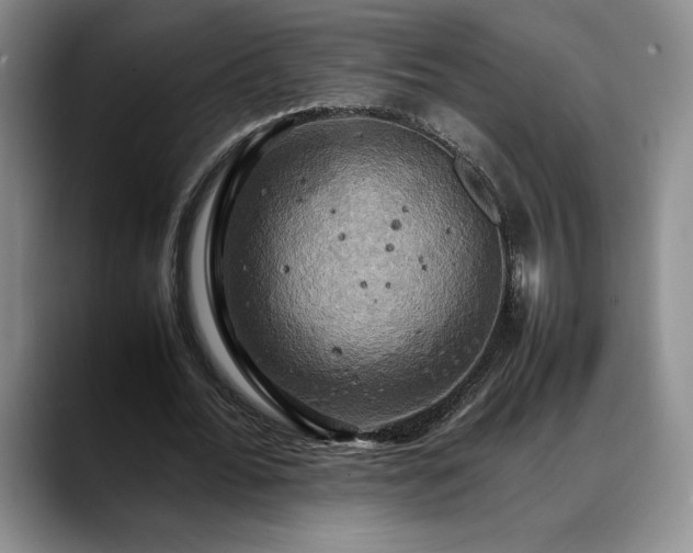 X0000088480676200705291628