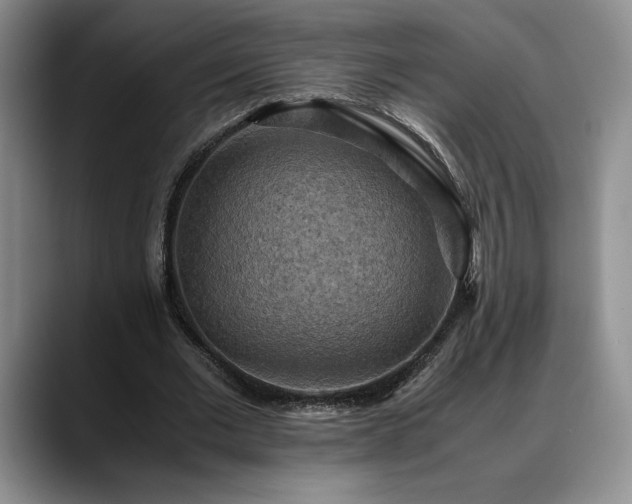 X0000088480677200705291628