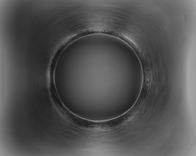 X0000088480678200705291628