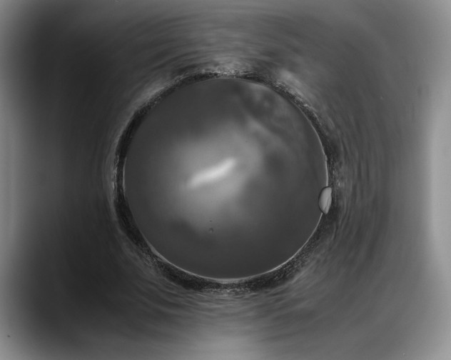 X0000088480679200705291628