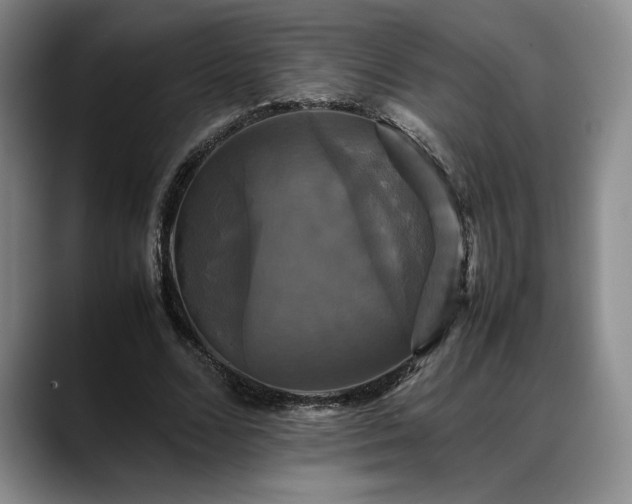 X0000088480680200705291628