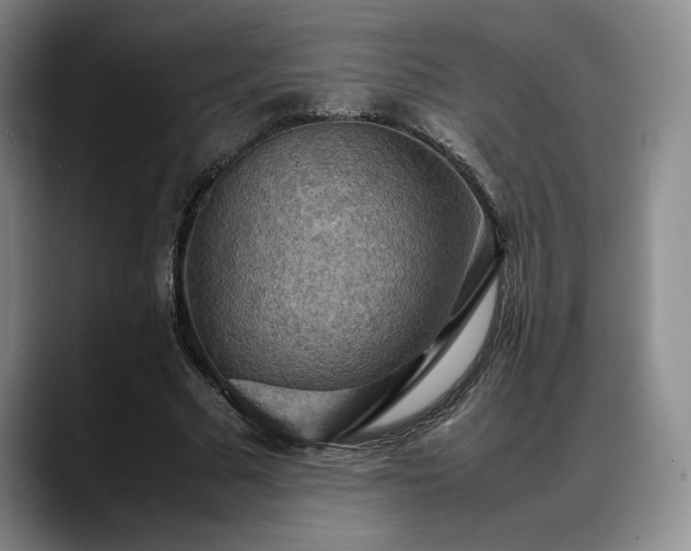 X0000088480681200705291628