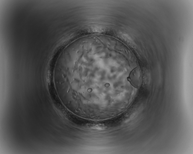 X0000088480683200705291628