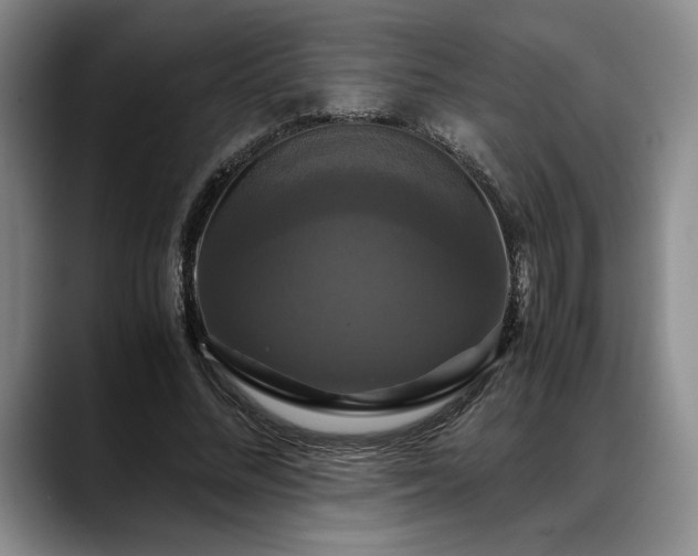 X0000088480684200705291628