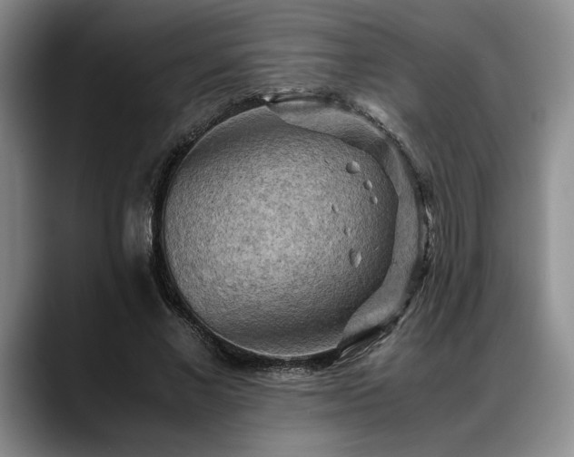 X0000088480685200705291628