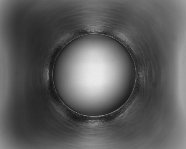 X0000088480686200705291628