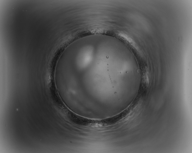 X0000088480687200705291628