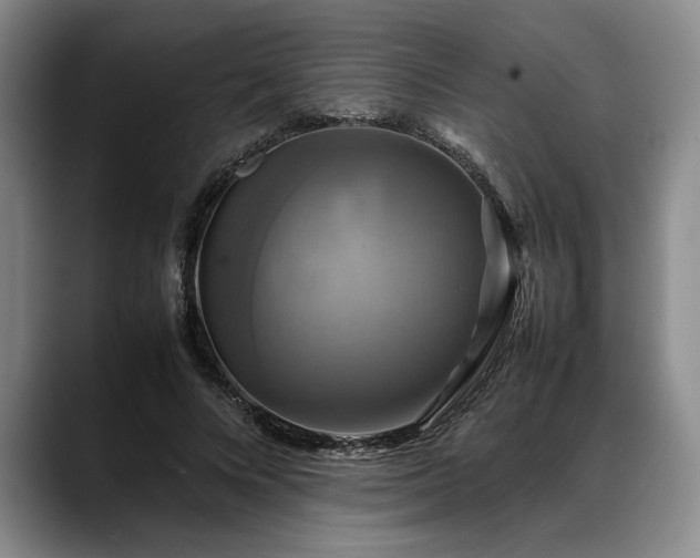 X0000088480688200705291628