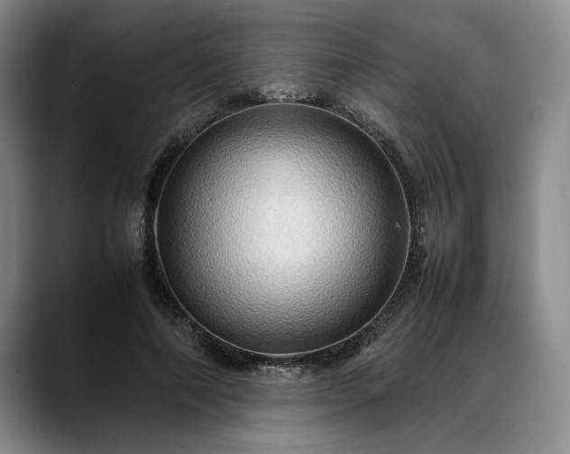 X0000088480690200705291628