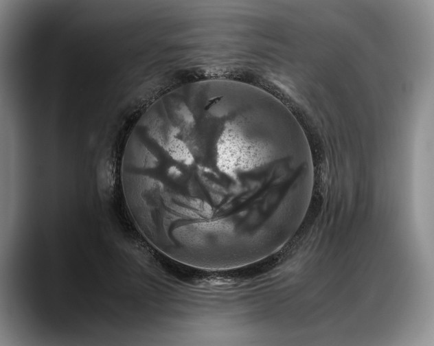 X0000088480691200705291628