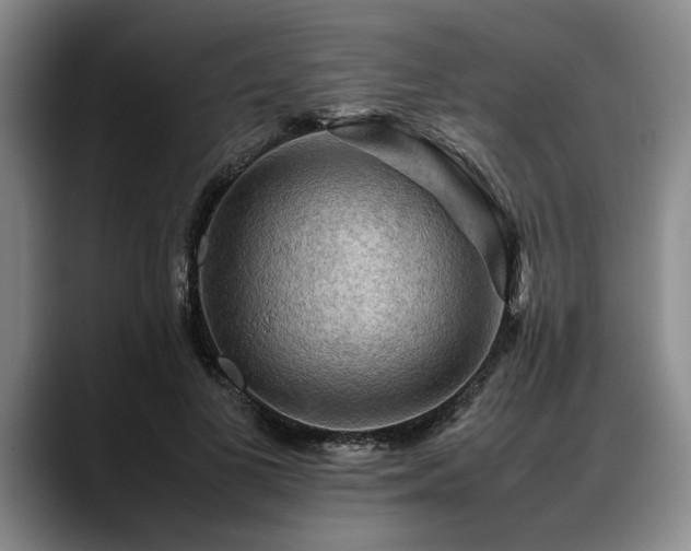 X0000088480693200705291628