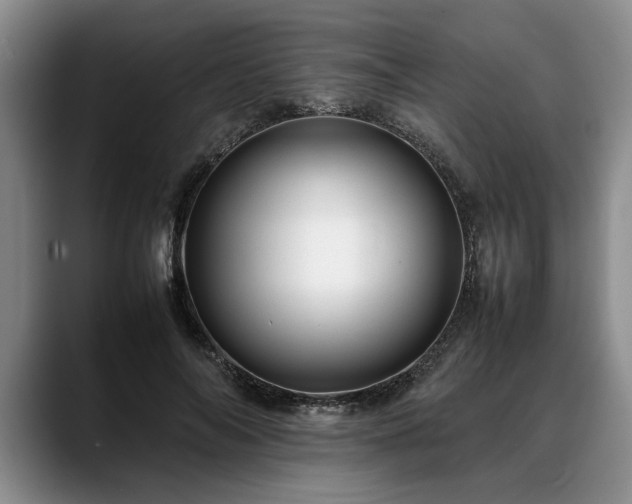 X0000088480694200705291628