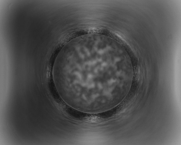X0000088480695200705291628