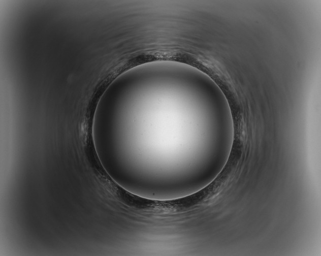 X0000088480697200705291628