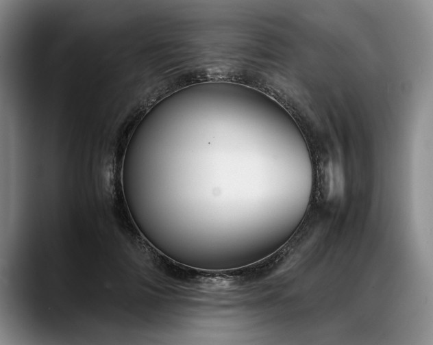 X0000088480698200705291628