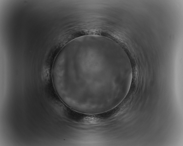 X0000088480699200705291628