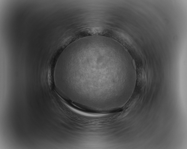 X0000088480700200705291628