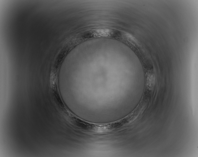 X0000088480701200705291627