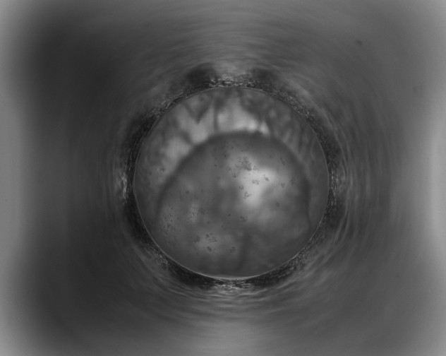 X0000088480703200705291627