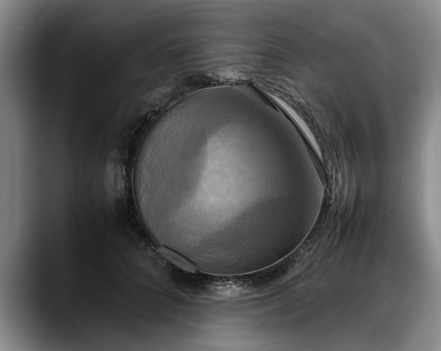 X0000088480704200705291627