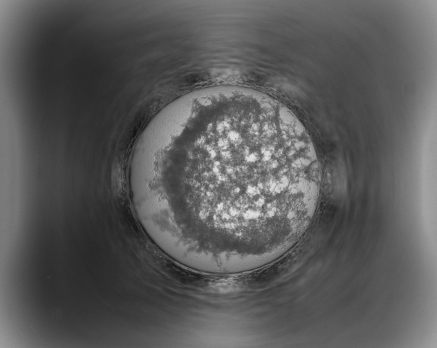 X0000088480705200705291627