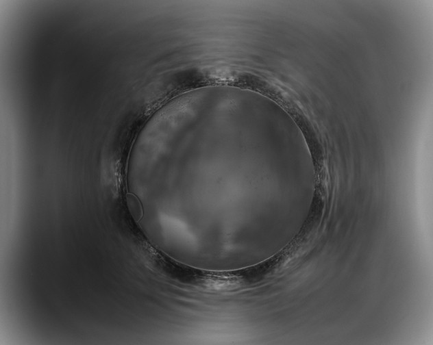 X0000088480707200705291627